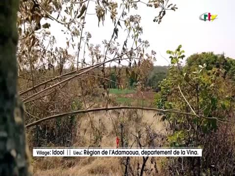 LE JT 20H30 du jeudi 19 mars 2026